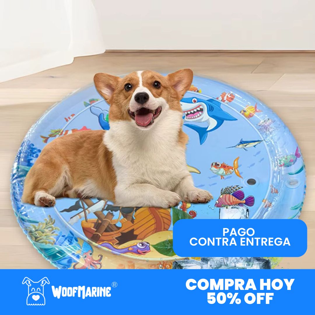 Woofmarine: Piscina refrescante para mascotas