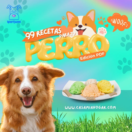99 Recetas refrescantes para tu mascota
