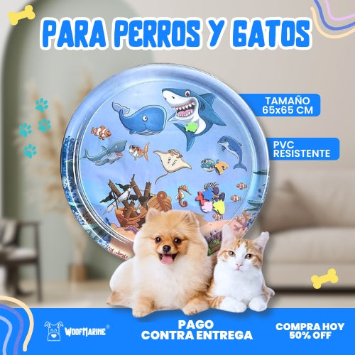 Woofmarine: Piscina refrescante para mascotas